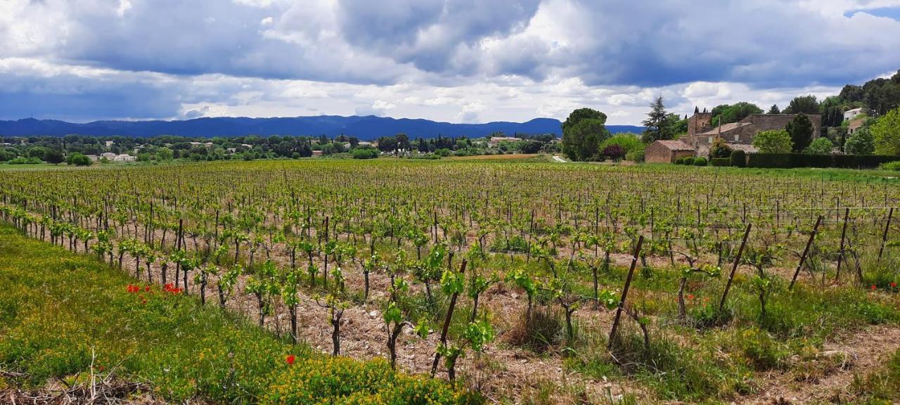 Domaine Des Francobelges - Appartements Lauris Zewnętrze zdjęcie